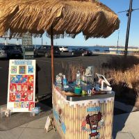 The Frozen Tiki ico