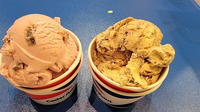 Ice Cream Parlor Picture 2