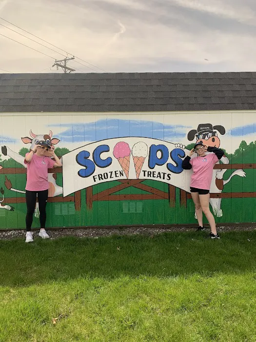 Scoops Frozen Treats Picture 4