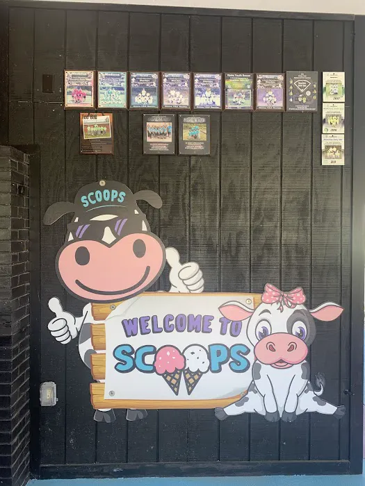 Scoops Frozen Treats Picture 9