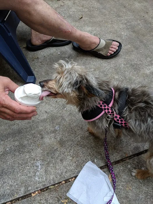 Radar’s Dairy Bar - Mifflin, OH Picture 8