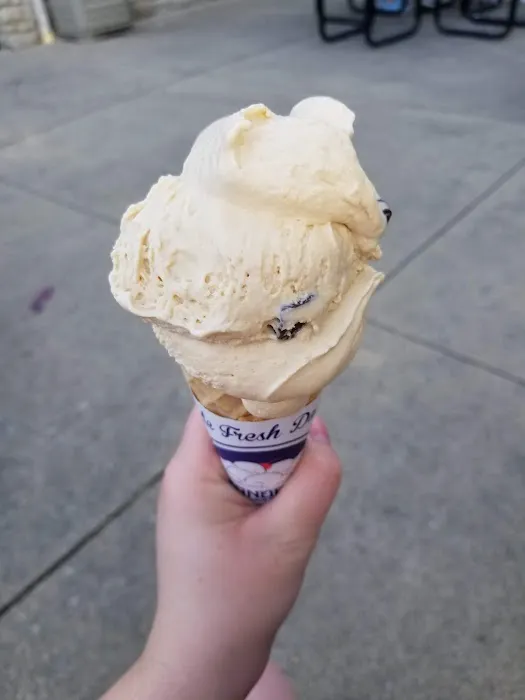 Handel's Homemade Ice Cream Powell Picture 6