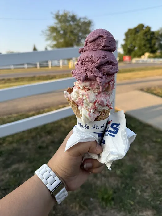 Handel's Homemade Ice Cream Powell Picture 5