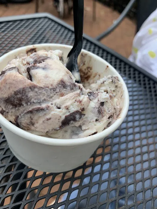 Johnson's Real Ice Cream, Dublin Picture 5