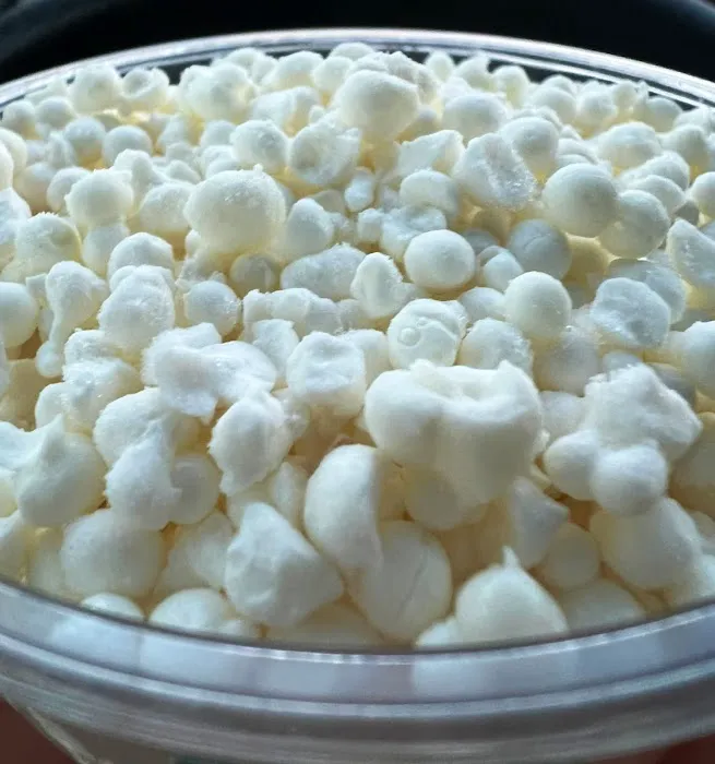 Dippin' Dots Picture 9