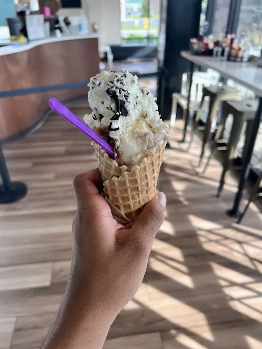 GELATOLICIOUS Picture 8