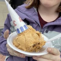 Strawsers Ice Cream Pop and candy shop ico