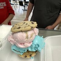 Strawser's Ice Cream, Pop & Candy Shop ico