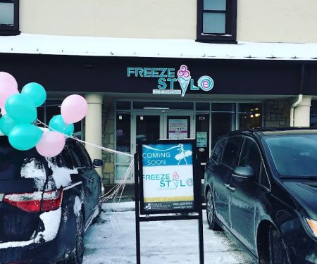 Freeze Style Ice Cream