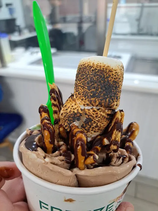 Freeze Style Ice Cream Picture 2