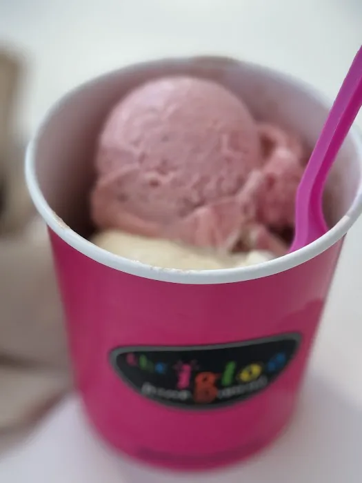 Igloo Frozen Custard Picture 7
