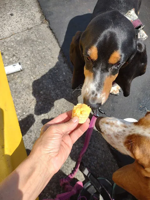 Gold Top Dairy Bar Picture 9
