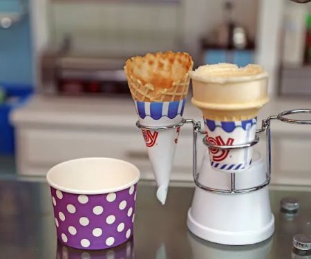 Wellington's Ice Cream Palace