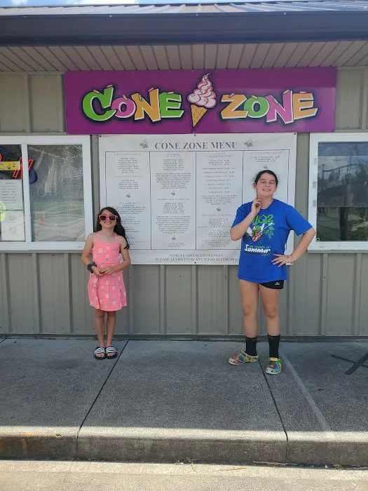Cone Zone Picture 7