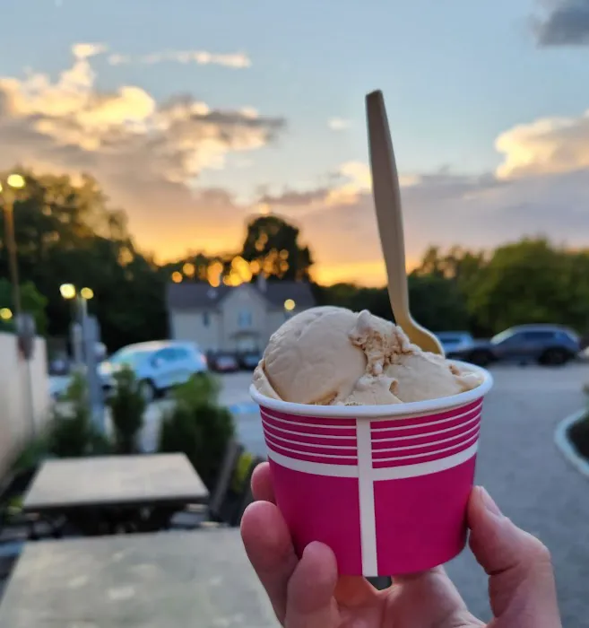 Aubrey + Zach's Ice Cream Picture 5