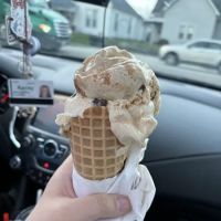 Dairy Point Inc ico