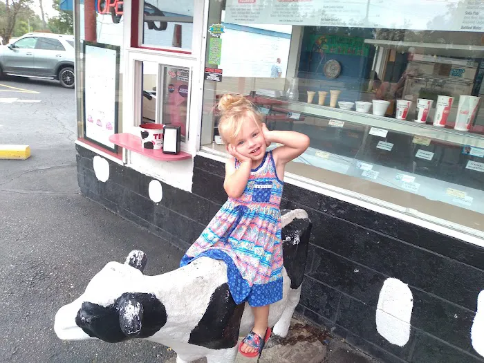 Silver Dairy Picture 9