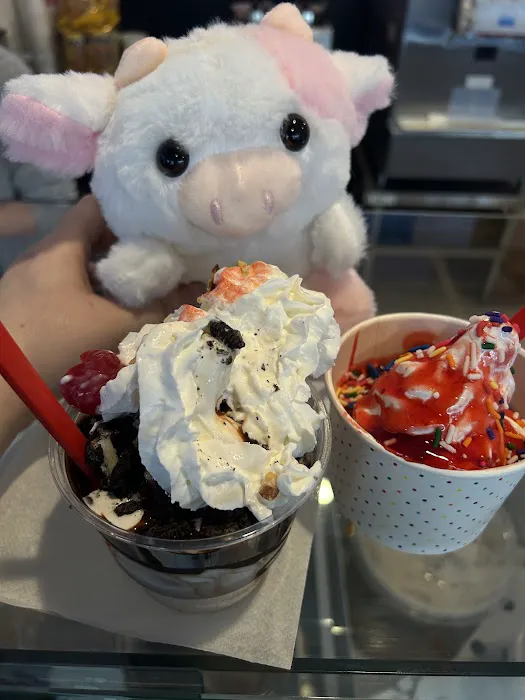 Scoops on Van Born Picture 4
