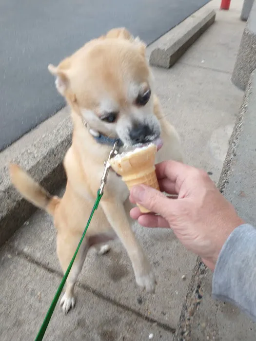 Dairy Queen (Treat) Store Picture 8
