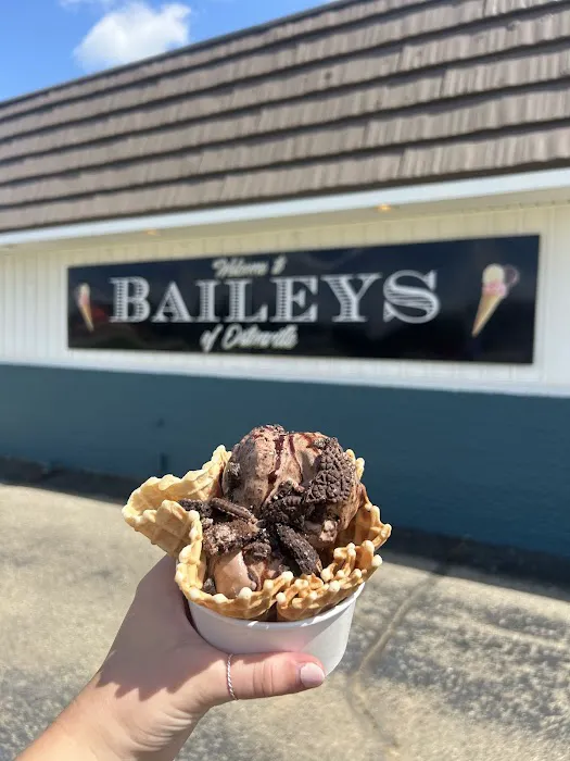 Bailey’s Ice Cream of Ortonville Picture 1