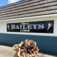 Bailey’s Ice Cream of Ortonville ico