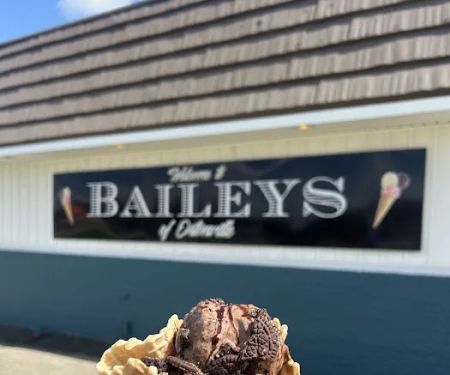 Baileyu2019s Ice Cream of Ortonville