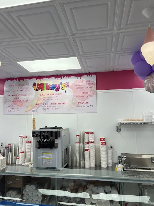 Mikey's Ice Cream & Candy Picture 2