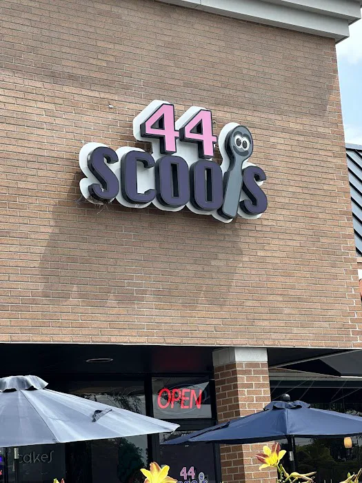 44 Scoops Picture 1