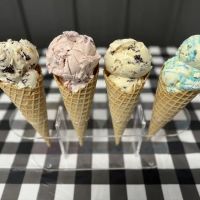 Delaney's Ice Cream Shoppe Farley ico
