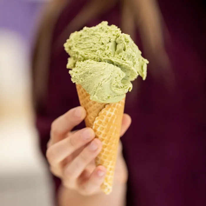 Sara's Artisan Gelato - De Pere Picture 8