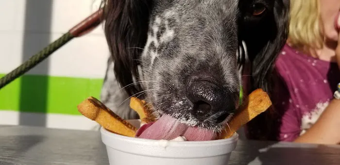 Bob's Dairy Dream Picture 6