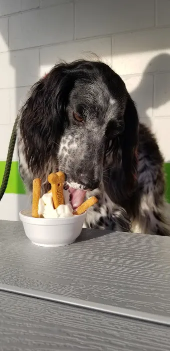 Bob's Dairy Dream Picture 5