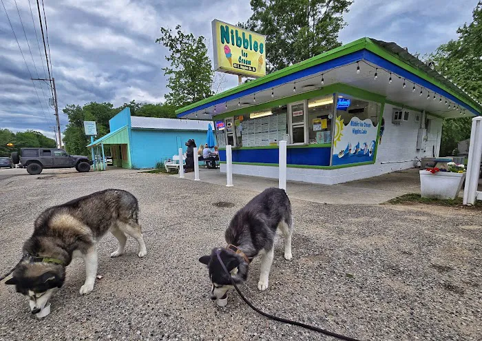 Nibbles Ice Cream Store Picture 1
