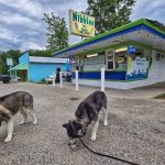 Nibbles Ice Cream Store