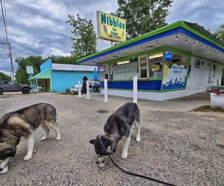 Nibbles Ice Cream Store