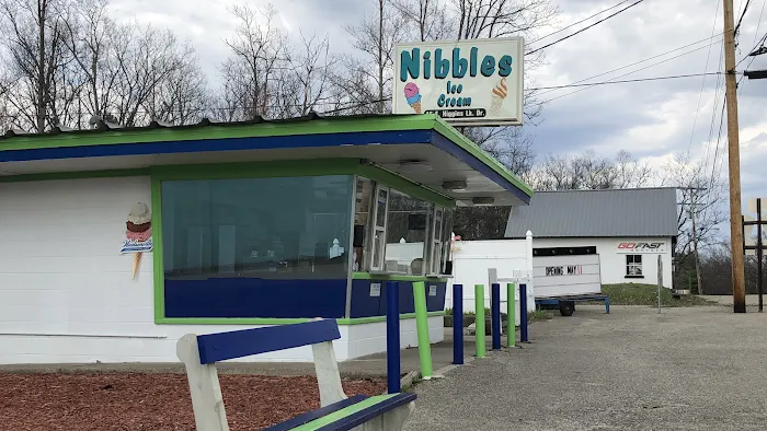Nibbles Ice Cream Store Picture 3