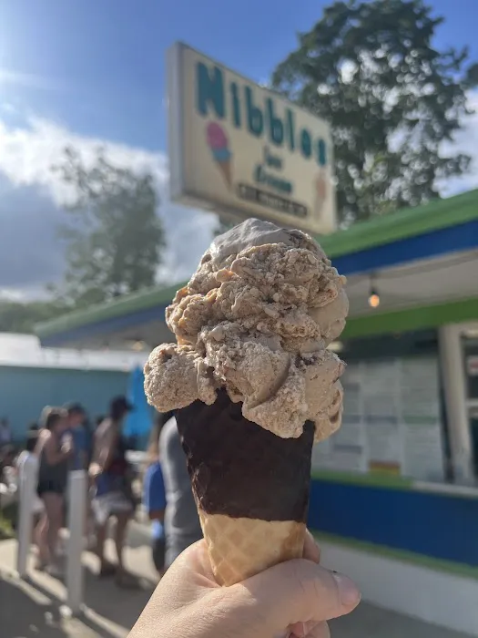 Nibbles Ice Cream Store Picture 6