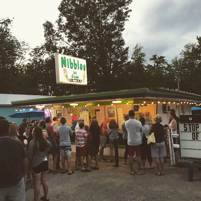 Nibbles Ice Cream Store Picture 5