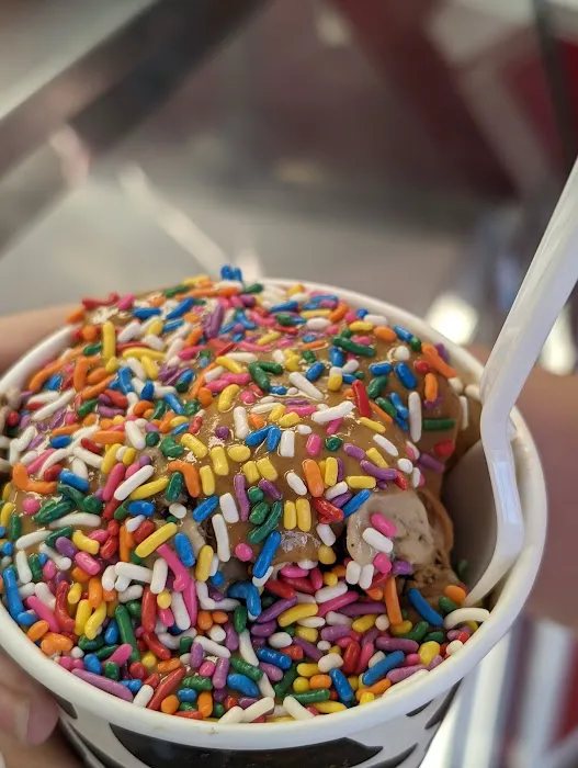 Ice Cream Junction Picture 8