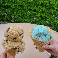 TJ's Ice Cream Cabin ico