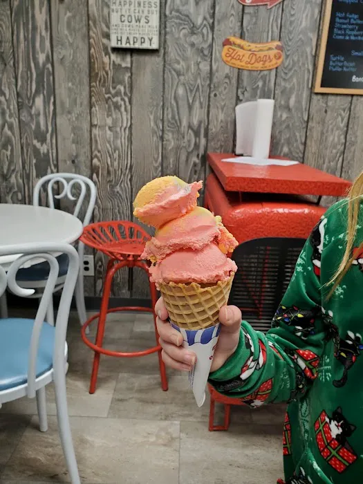 Cream of the Crop Ice Cream Shop Picture 8