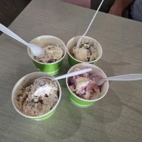 Sundae Cafe ico