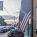 Mastodons Ice Cream Co.
