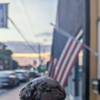 Mastodons Ice Cream Co. ico