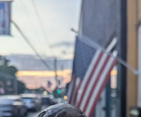 Mastodons Ice Cream Co.
