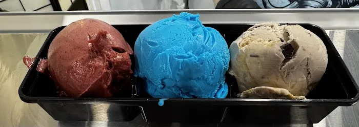 Mastodons Ice Cream Co. Picture 7