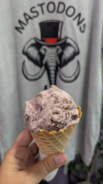 Mastodons Ice Cream Co. Picture 4