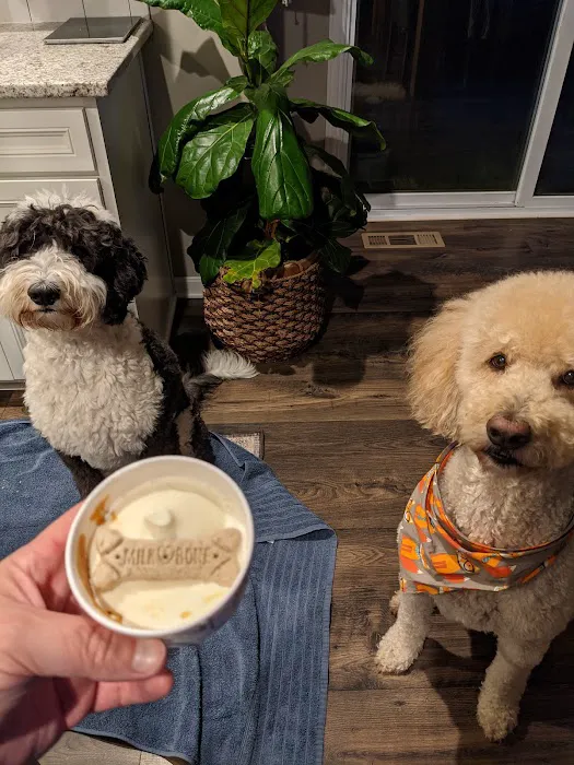 Whit's Frozen Custard Picture 7