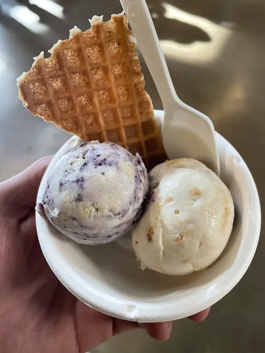 Jeni's Splendid Ice Creams Picture 4