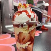 Treats, Sweets & Ice Cream, LLC ico